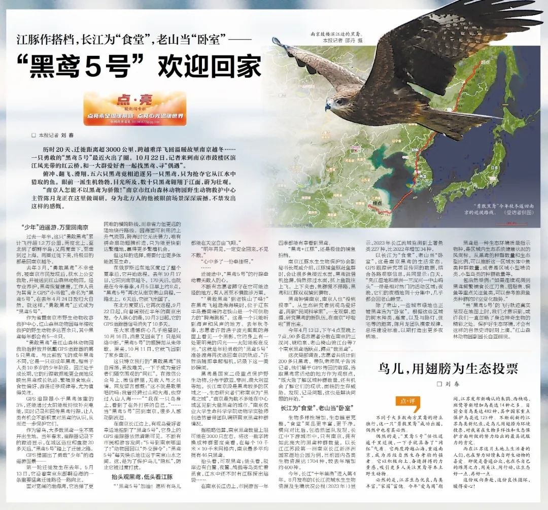 “口述”亮点，让读者在标题中一眼看到新闻！
