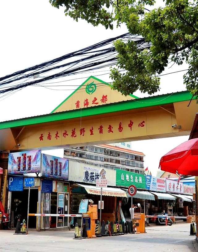 我是上海人，国庆杀到昆明，被这座大城市惊得目瞪口呆！