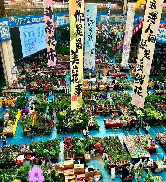 我是上海人，国庆杀到昆明，被这座大城市惊得目瞪口呆！