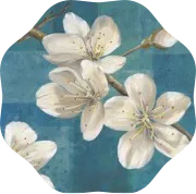 3月22日！来丹巴，赴一场与梨花的春日之约