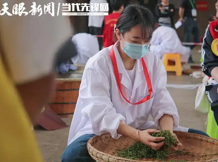 「职教快讯」手工制作，技艺传承！湄潭这一大赛真香