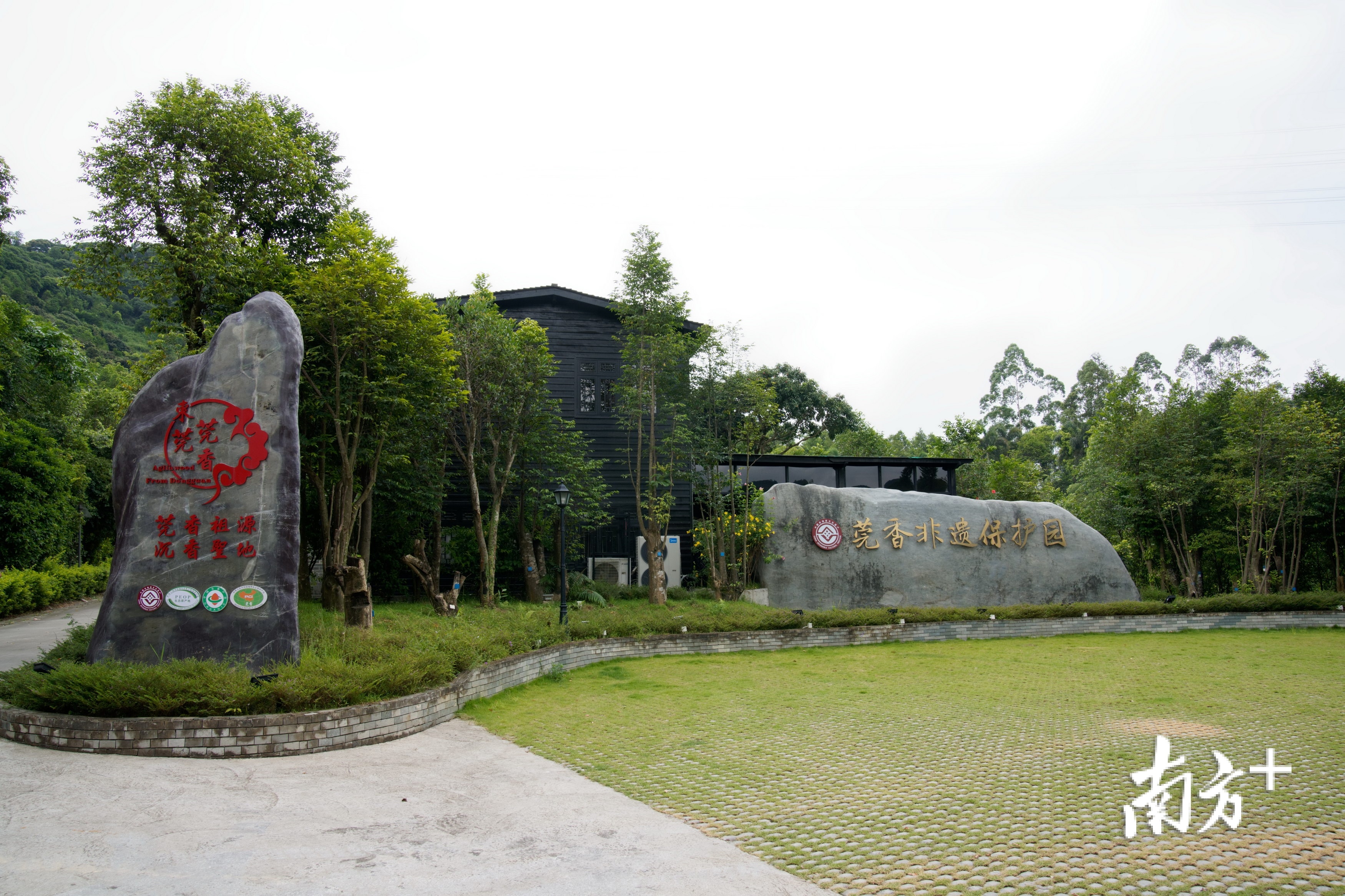 彻底火了！东莞这个小镇文旅直播吸引42万多人围观