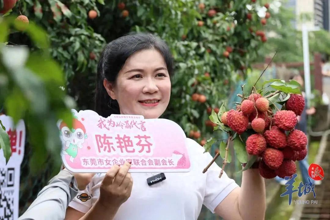 “我为岭荔代言”，大岭山这场直播让荔枝火出圈！
