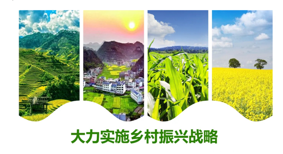 云南省市场监管局主动作为  大力推进乡村振兴