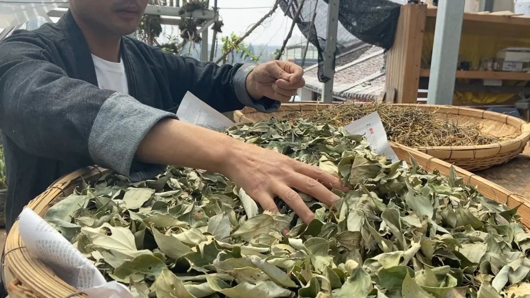 腾冲 || 闻香而来，传承千年