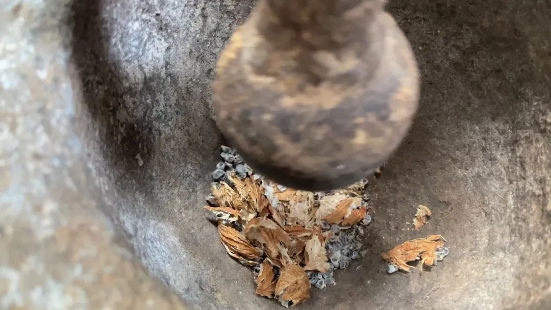 腾冲 || 闻香而来，传承千年