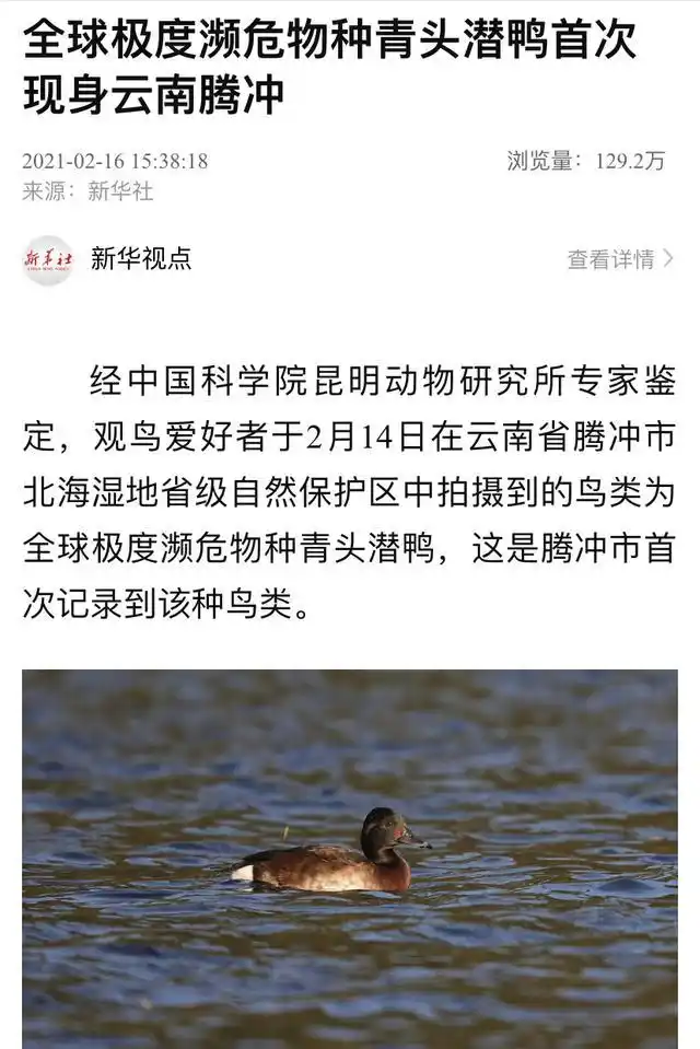 春节期间央视四度聚焦，腾冲融媒迎来最牛“开门红”！