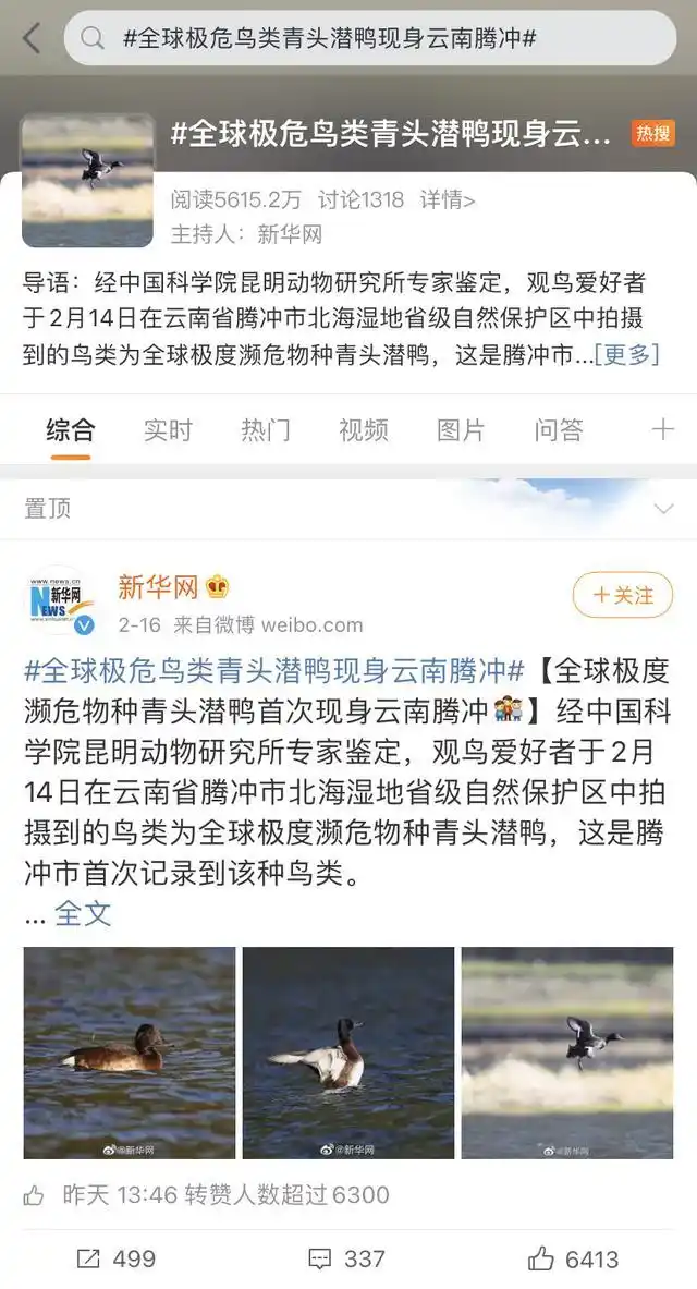 春节期间央视四度聚焦，腾冲融媒迎来最牛“开门红”！