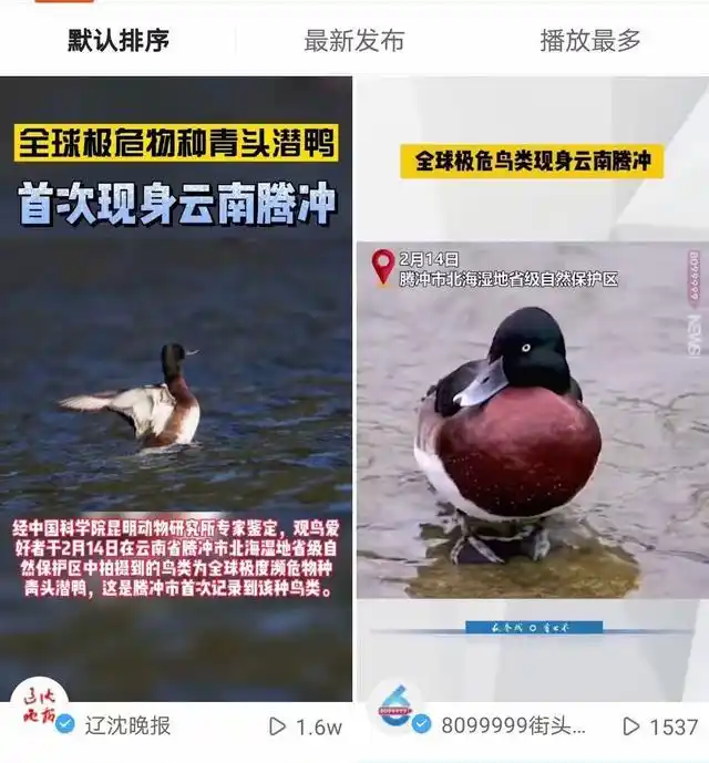 春节期间央视四度聚焦，腾冲融媒迎来最牛“开门红”！