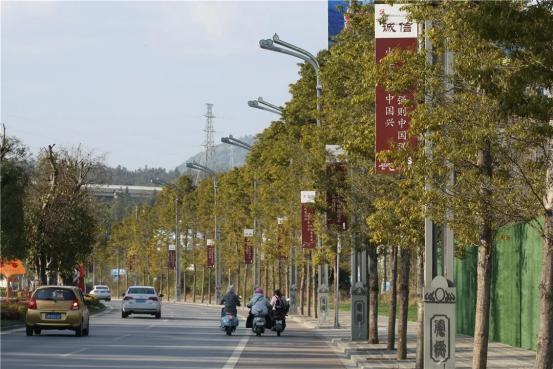 2020年腾冲大事记：岁月有痕，不改我心