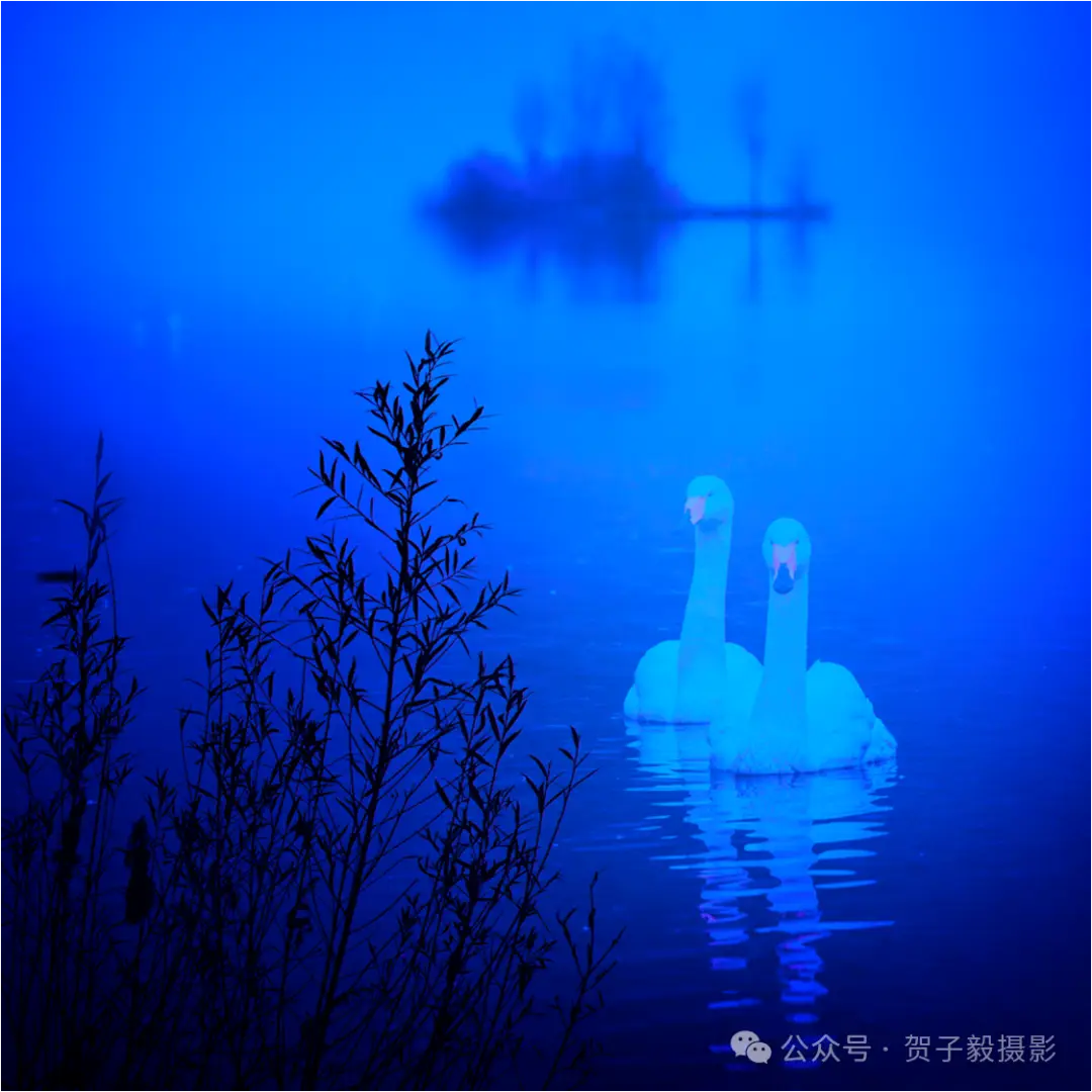 贺子毅 | 如何做个有灵魂的摄影人