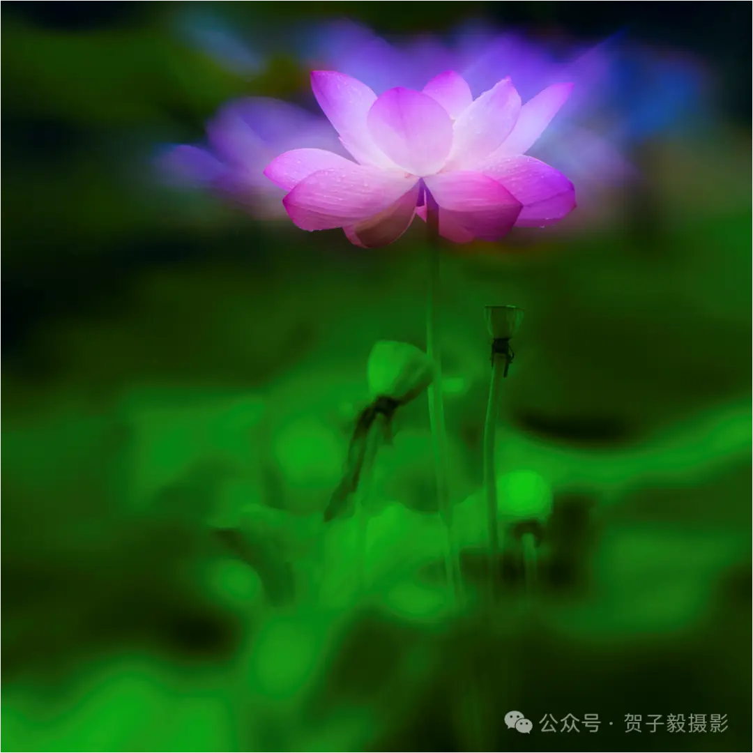 贺子毅 | 如何做个有灵魂的摄影人