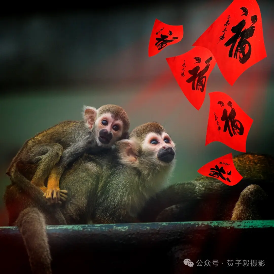 贺子毅 | 如何做个有灵魂的摄影人