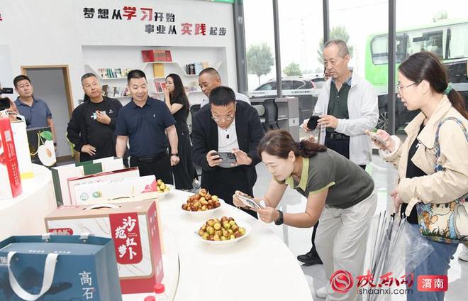解码关中沃土|大荔县绘就特色产业与生态人文协调发展新画卷​​