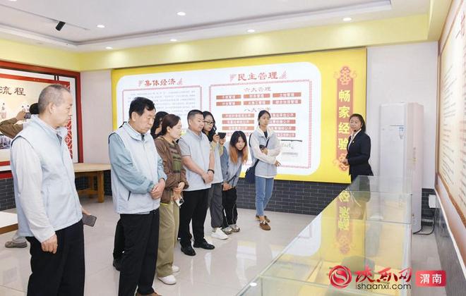 解码关中沃土|大荔县绘就特色产业与生态人文协调发展新画卷​​