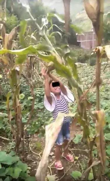 云南后妈虐杀8岁女童，用胶带封嘴镰刀敲碎其头颅！案件最新进展
