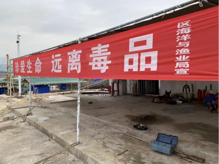 【广东禁毒攻坚进行时】成员单位齐动员，全民禁毒筑防线