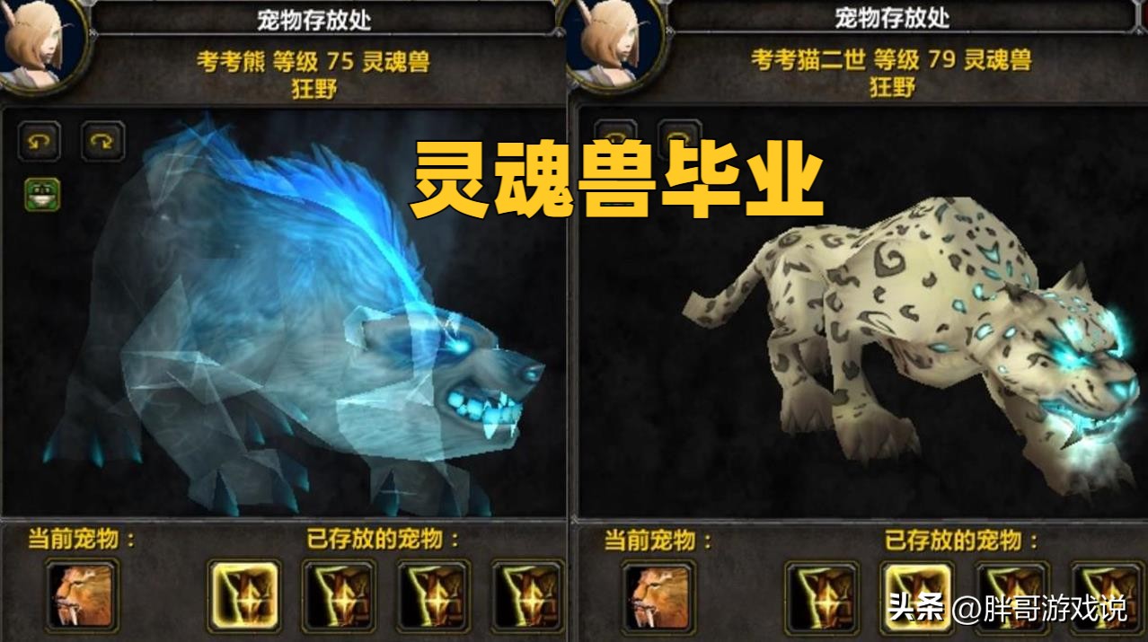魔兽WLK：工作室控制灵魂兽，1只150坑猎人？2个宏可提升获取几率