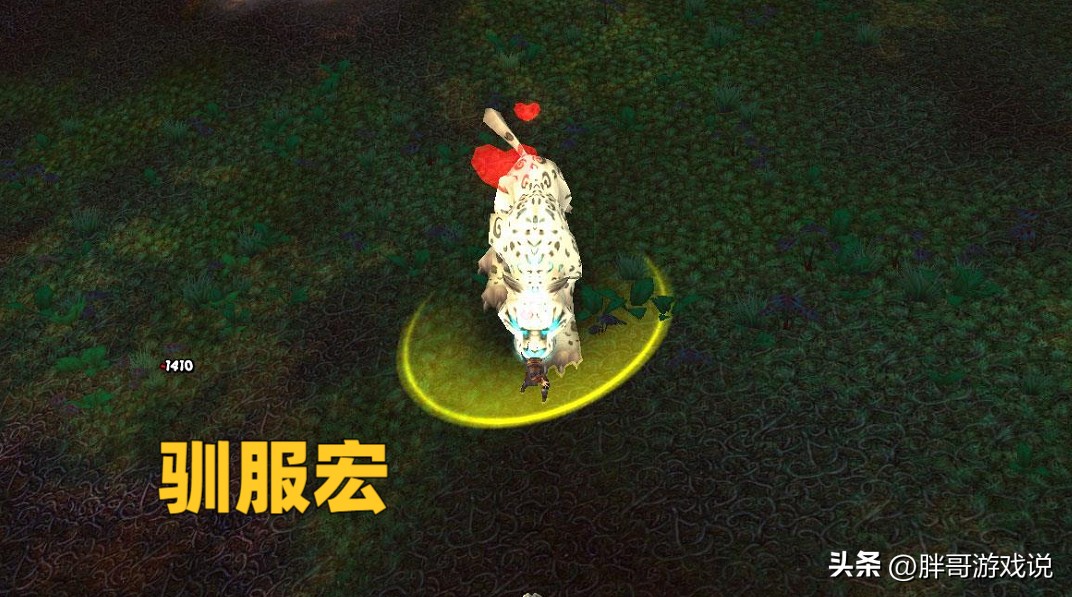 魔兽WLK：工作室控制灵魂兽，1只150坑猎人？2个宏可提升获取几率