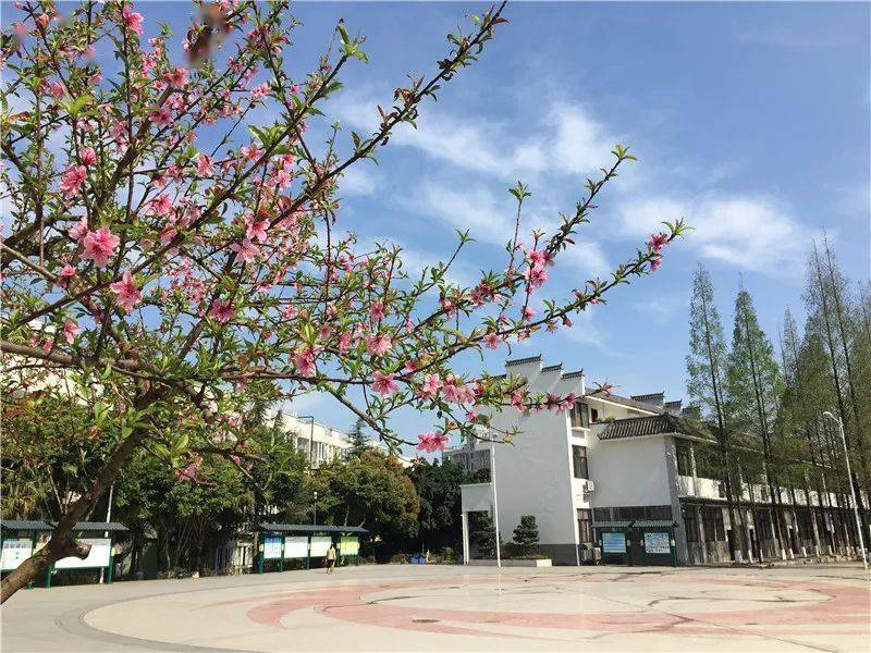 师大一中三个校区应该怎么选？这篇超详细介绍请收下