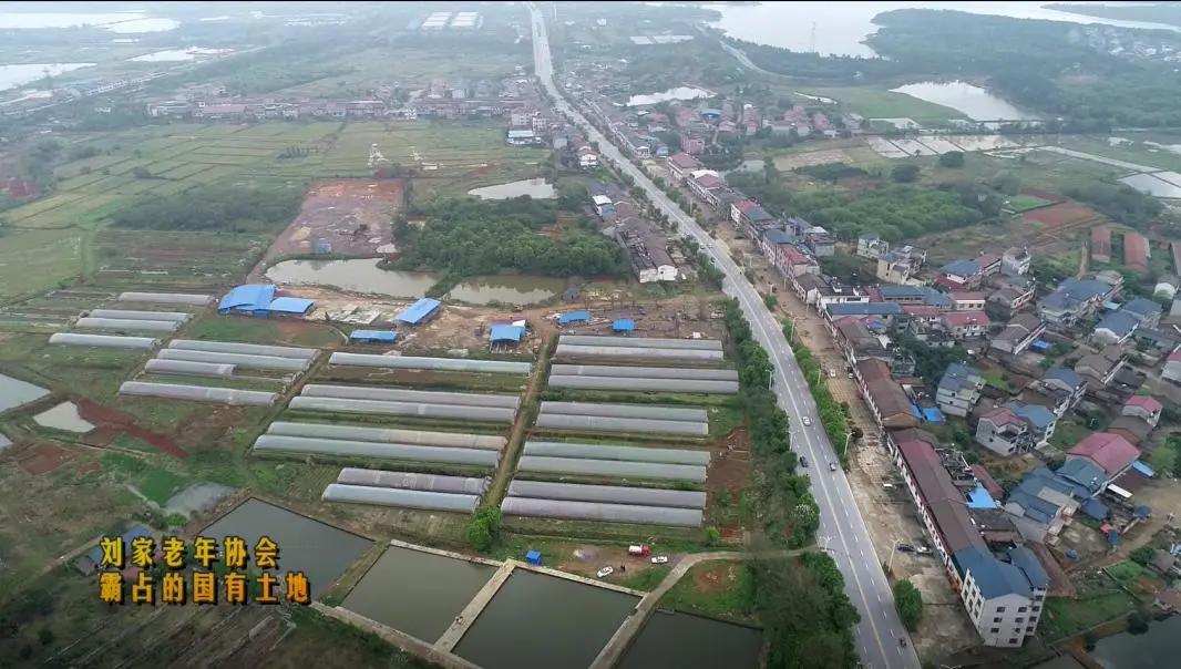 最大92岁，平均79岁，是老人变坏了还是坏人变老了