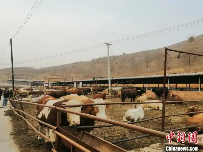 辽宁朝阳市脱贫攻坚连续三年全省第一 贫困县全摘帽