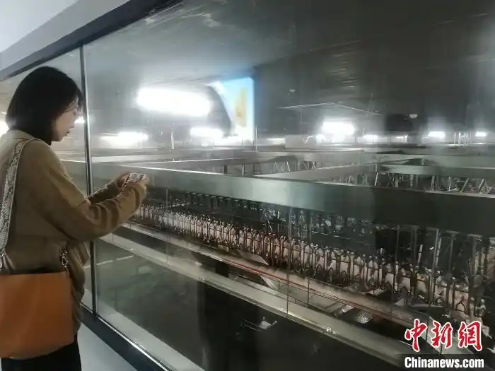 辽宁朝阳市脱贫攻坚连续三年全省第一 贫困县全摘帽