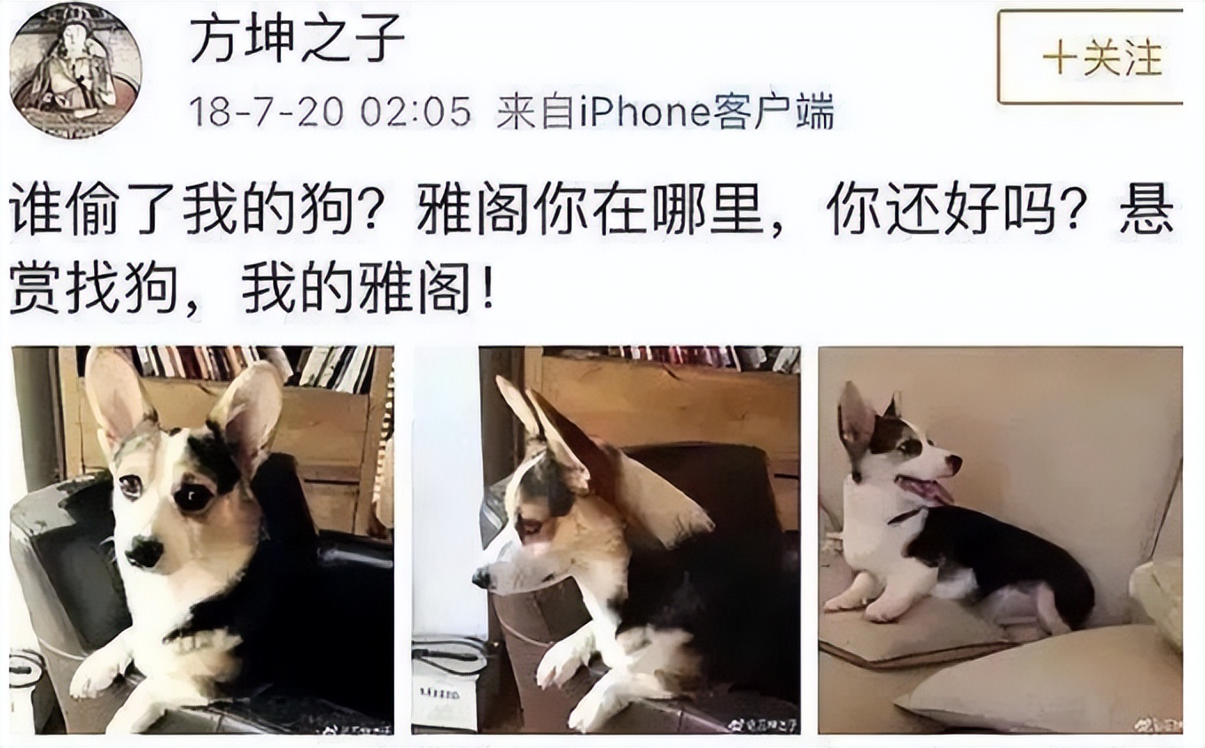 事实证明，口无遮拦的袁立，已经走上了一条“不归路”