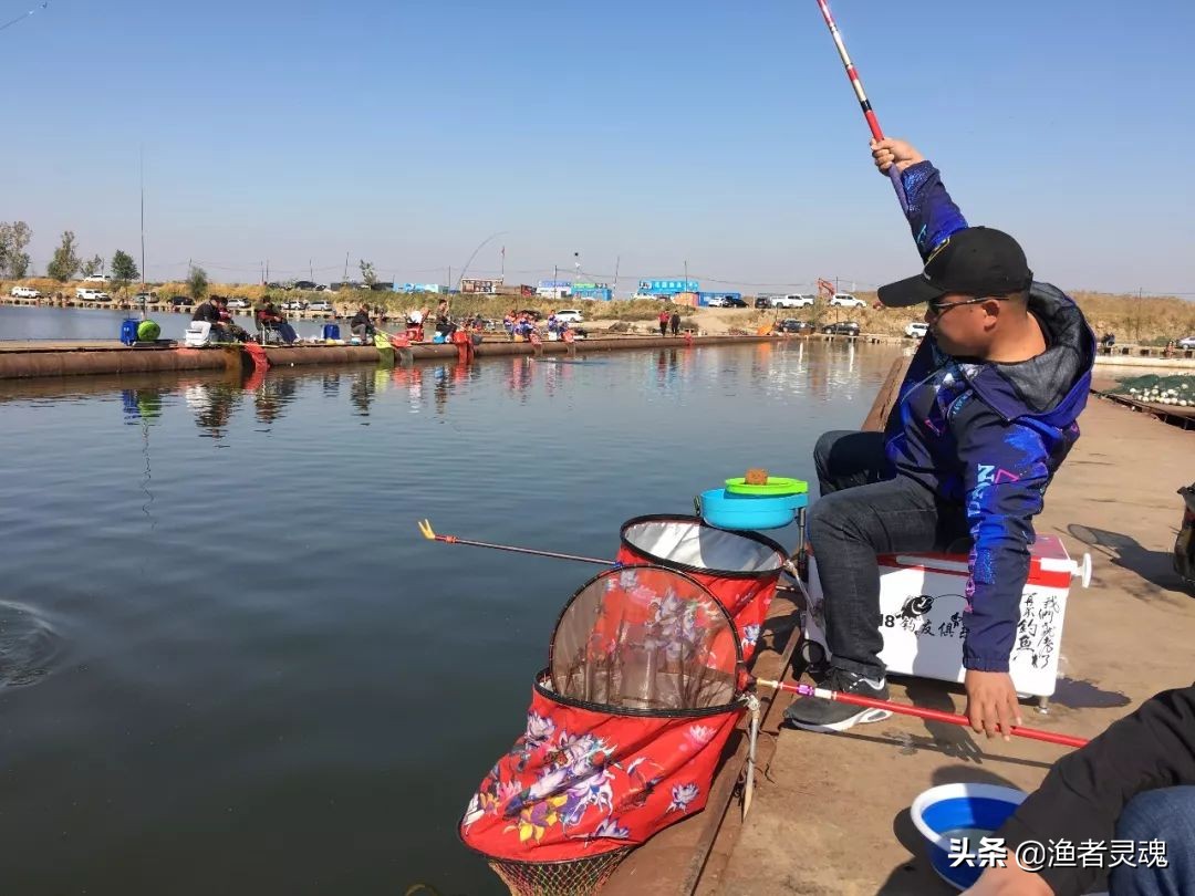 天津静海花园的鱼真的很好钓吗？解读静海花园垂钓难点