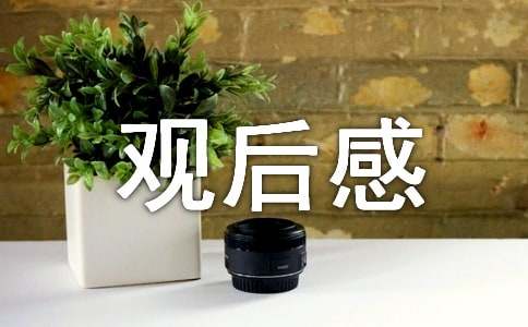 《我爱你，中国》观后感