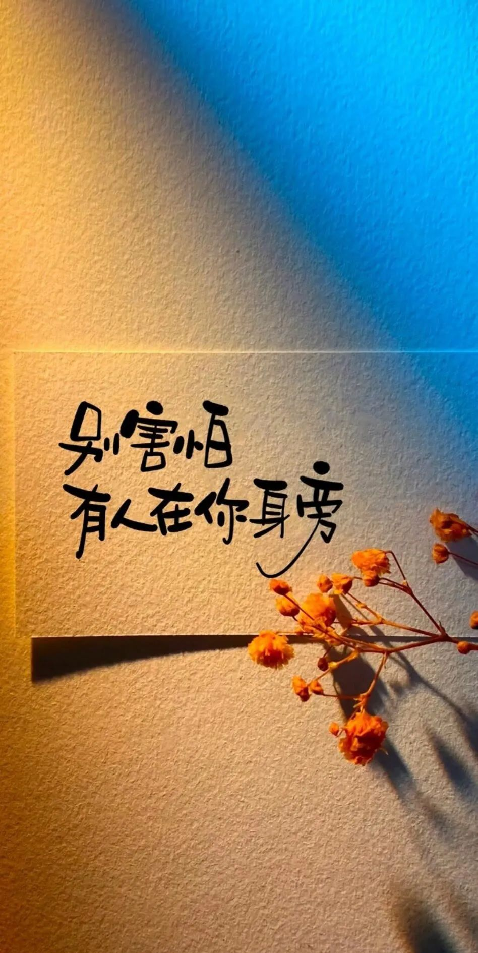 2024年高清全屏手机桌面壁纸精选，众多主题供您选择！
