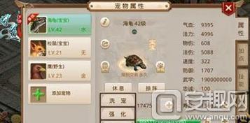 问道手游极品宝宝怎么得?极品宝宝培养攻略