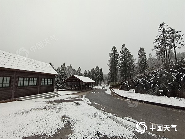 下雪了！重庆高海拔山区雪花飘 今起三天降雪持续