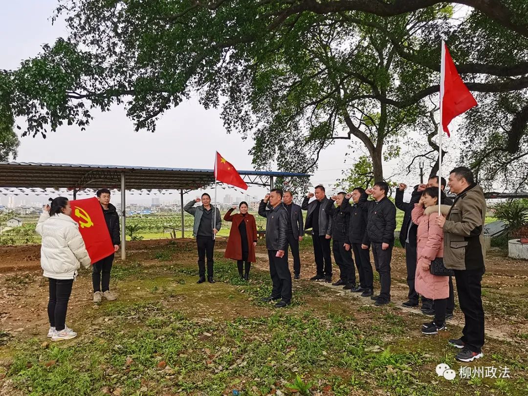 融安：紧盯目标早谋划  多措并举重实效