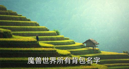 1、魔兽世界,20格背包怎么有贵的有便宜的?有什么区别么