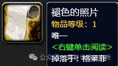 魔兽欧皇老玩家才有！魔兽里最稀有值钱的18件物品，你有几件？