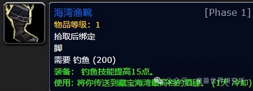 魔兽欧皇老玩家才有！魔兽里最稀有值钱的18件物品，你有几件？