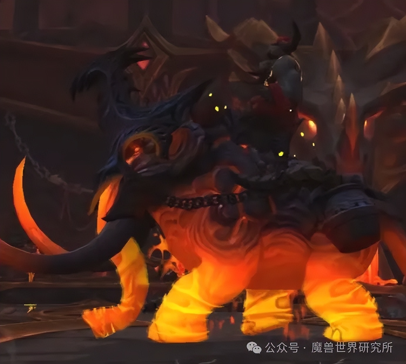 魔兽欧皇老玩家才有！魔兽里最稀有值钱的18件物品，你有几件？