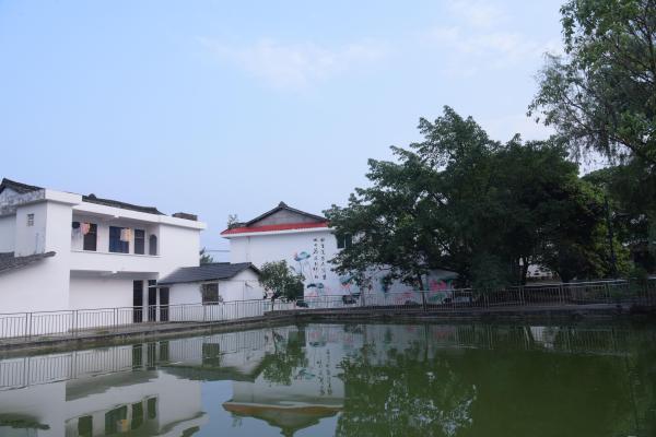 四川洪雅：向美而行，绘就乡村“生态宜居”新画卷