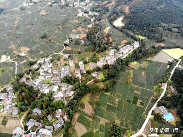 铿锵前行 昂首阔步奔小康——决战脱贫攻坚走区县系列报道之洪雅县篇