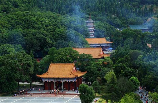 广西县域经济网