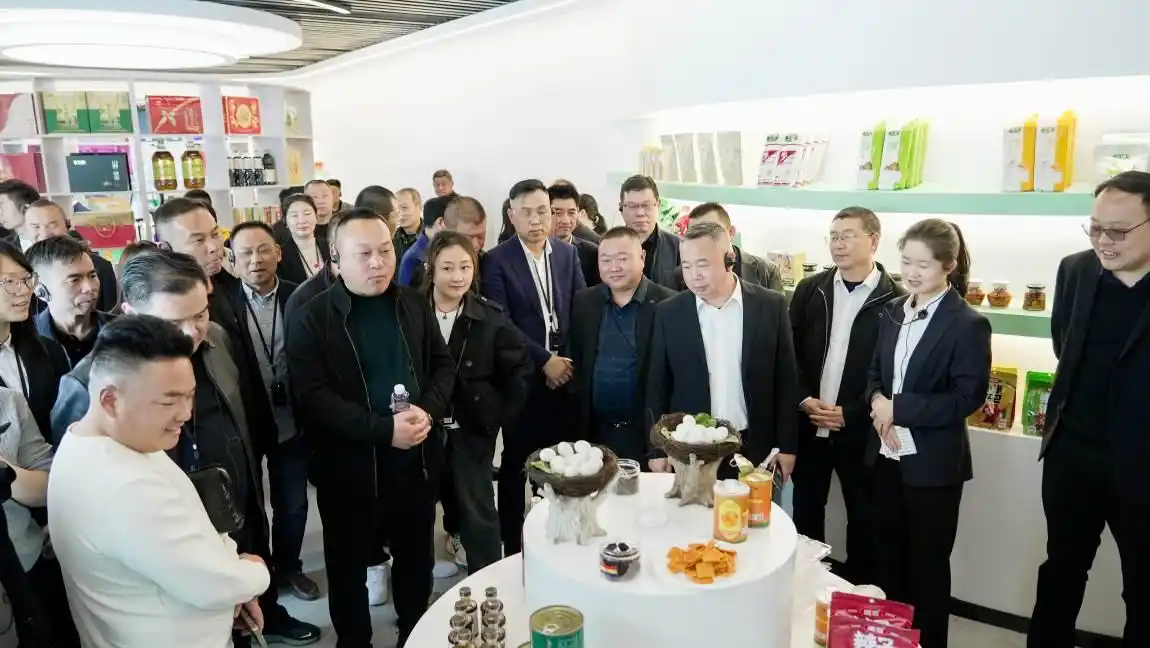 枣阳兴隆：引资聚才激发新动能