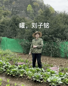 种田博主的一勺大粪，破了无数玩家的防