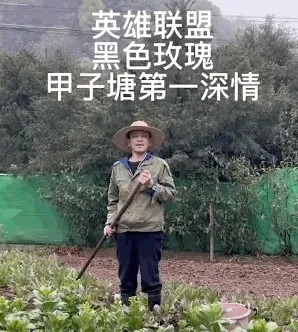 种田博主的一勺大粪，破了无数玩家的防