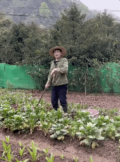 种田博主的一勺大粪，破了无数玩家的防