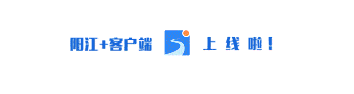重拳打击！阳江今天这场发布会，通报最新情况！