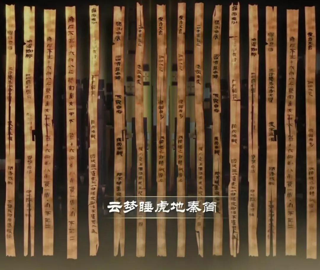 大珊老师：我们习以为常的“书”原来有这么多奥妙