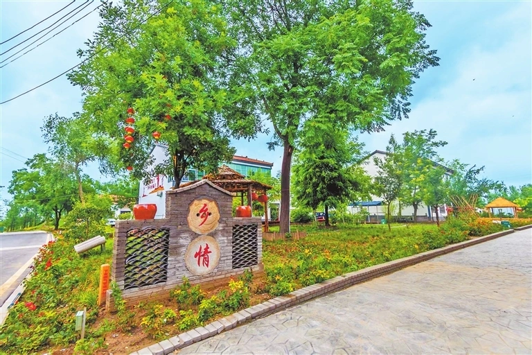 六十年“点沙成金”的生态奇迹——看兰考如何用创新实践治沙兴业