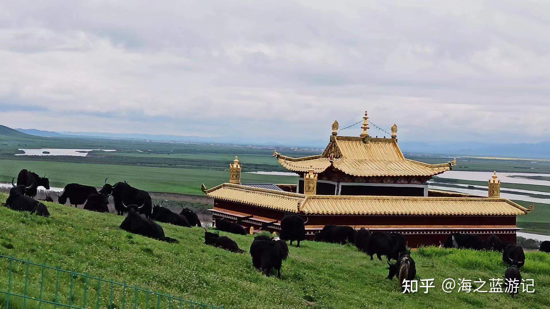 2025甘南旅游攻略-第一次去甘南旅游经典路线怎么玩-哪些景点必去-详细介绍