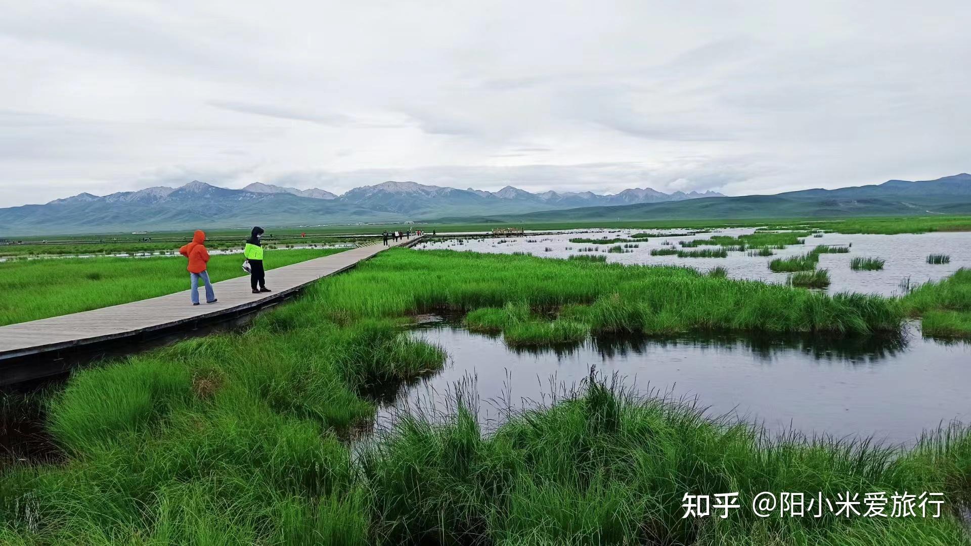 去甘南旅游，99%的人看了这份攻略！